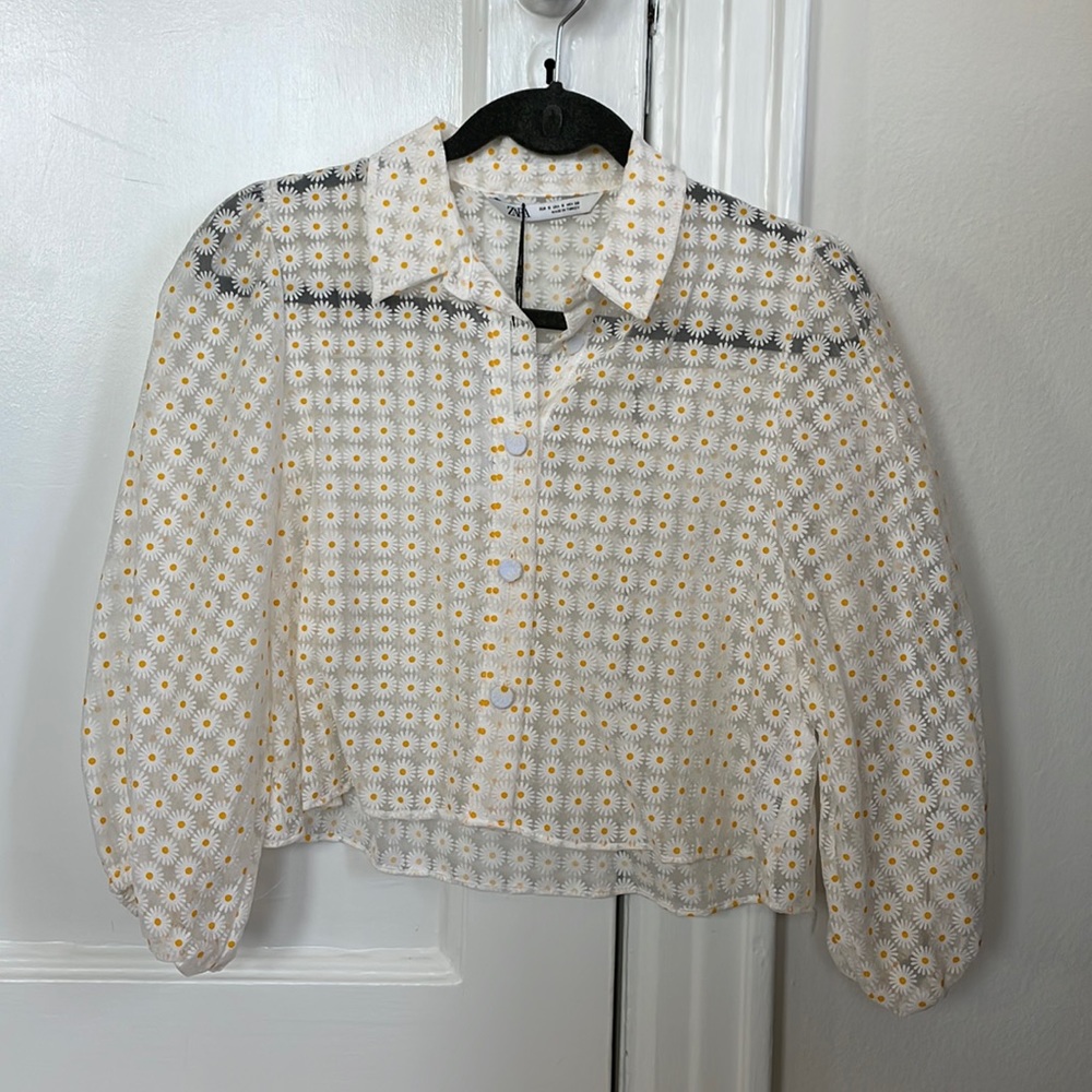 Zara Sheer floral top